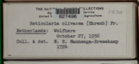 Image Associated With the Occurence